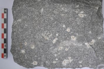 Vorschaubild Titanfleckengranit